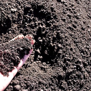 soil
